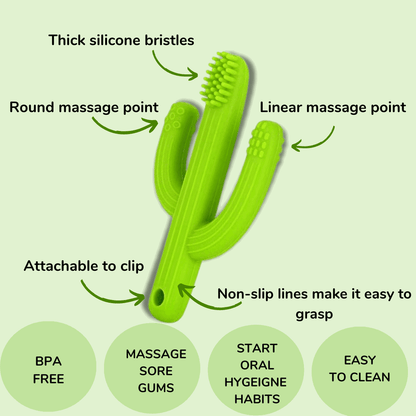 BPA Free Silicone Cactus Teether Toy - Made2Motivate