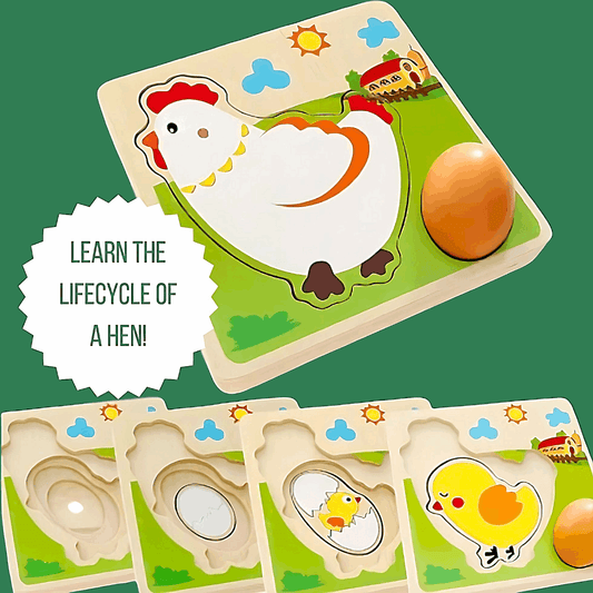 Educational Puzzle- Hen Lifecycle - Made2Motivate